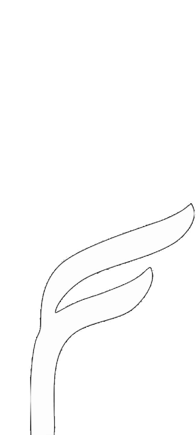 Logo IDPB